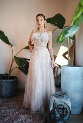 Scarlett 36
